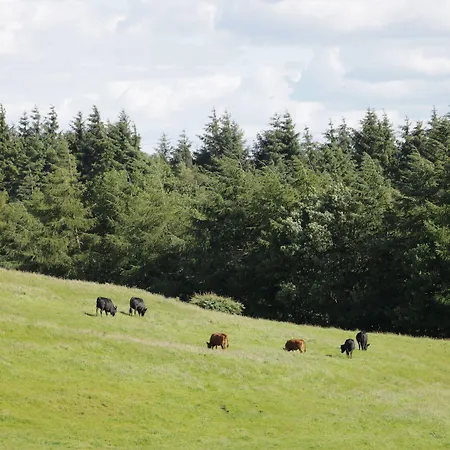 Farm * Ripon
